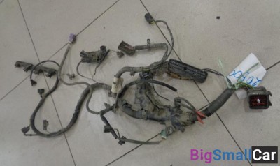 Проводка подкапотная от Ford Fiesta 2008-2017 - купить Санкт-Петербурге