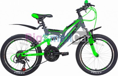 Дорожные велосипеды PIONEER TRIUMPH 20/13 gray-green-black - купить Санкт-Петербурге